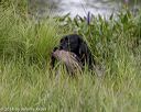 20180804-jhw-0442