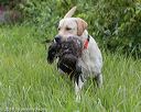 20180804-jhw-0585