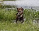 20180804-jhw-0624