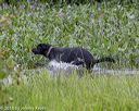 20180804-jhw-0662