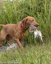 20180804-jhw-1065