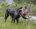 20180804-jhw-1092