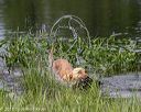 20180804-jhw-1142