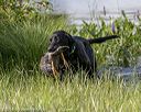 20180804-jhw-1279