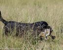 20180805-shl-0014