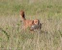 20180805-shl-0190