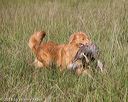 20180805-shl-0269