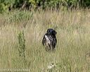 20180805-shl-0390