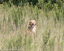 20180805-shl-0579