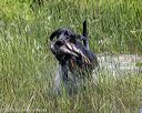 20180805-shw-0250