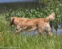 20180805-shw-0706