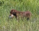 20180805-shw-0817
