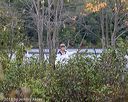 20181006-c-0016