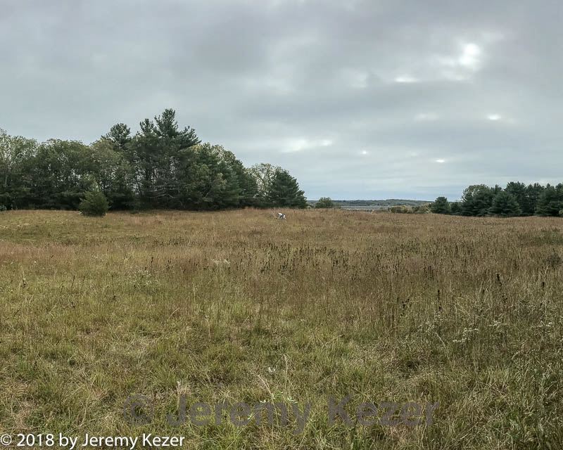 20181006-c-0005.jpg