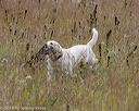 20181006-wcl-0002