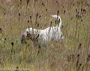 20181006-wcl-0005