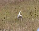 20181006-wcl-0012