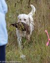 20181006-wcl-0023