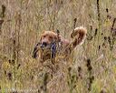 20181006-wcl-0033