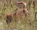 20181006-wcl-0038