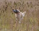20181006-wcl-0054
