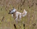 20181006-wcl-0056