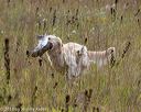 20181006-wcl-0057