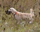 20181006-wcl-0067