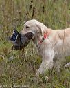 20181006-wcl-0069