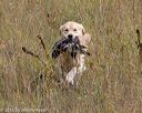 20181006-wcl-0095
