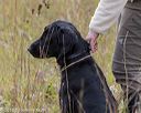 20181006-wcl-0110