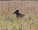 20181006-wcl-0112