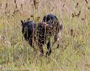 20181006-wcl-0137