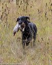 20181006-wcl-0152