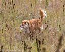 20181006-wcl-0184