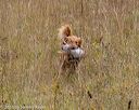 20181006-wcl-0214