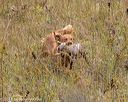 20181006-wcl-0221