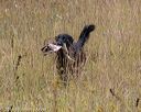 20181006-wcl-0252