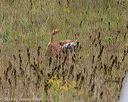 20181006-wcl-0282