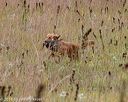 20181006-wcl-0293