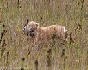 20181006-wcl-0313