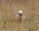 20181006-wcl-0330