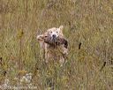 20181006-wcl-0334