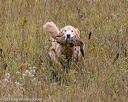 20181006-wcl-0336