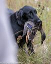 20181006-wcl-0377