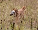 20181006-wcl-0439