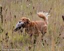 20181006-wcl-0441