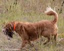 20181006-wcl-0446
