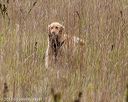 20181006-wcl-0453
