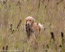 20181006-wcl-0457